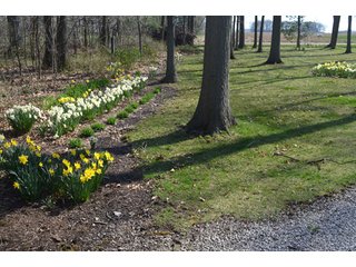 Property photo 53 - East Allen County Real Estate Auction